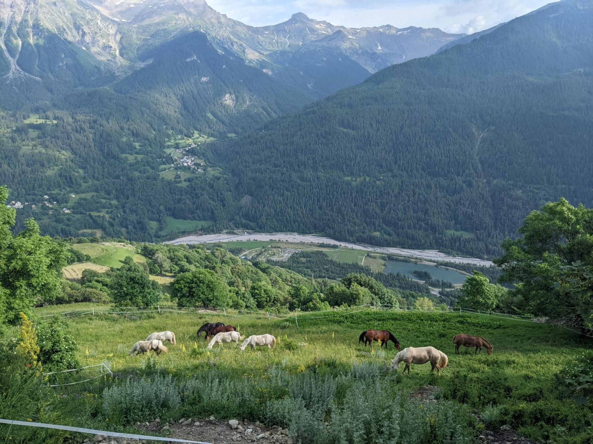 Gite Du Bois De L'Ours Orcières Екстериор снимка